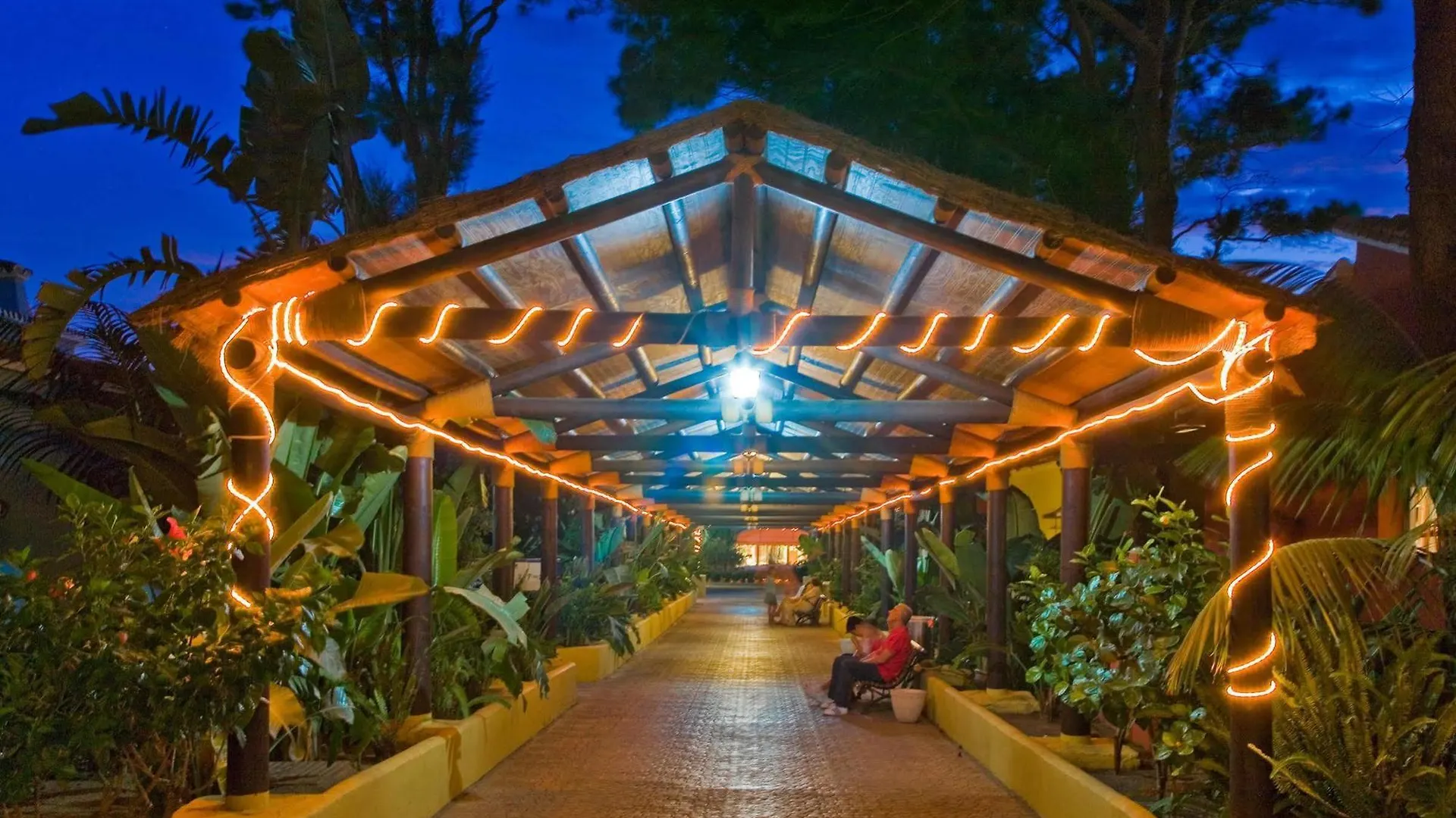 Marbella Playa Hotel 4*,  スペイン